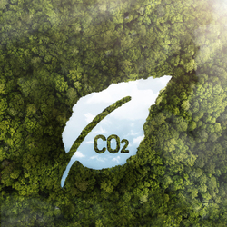 Carbon Credit Solutions